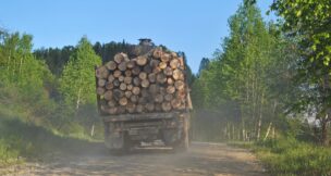 Truck transporting lumber out of forest